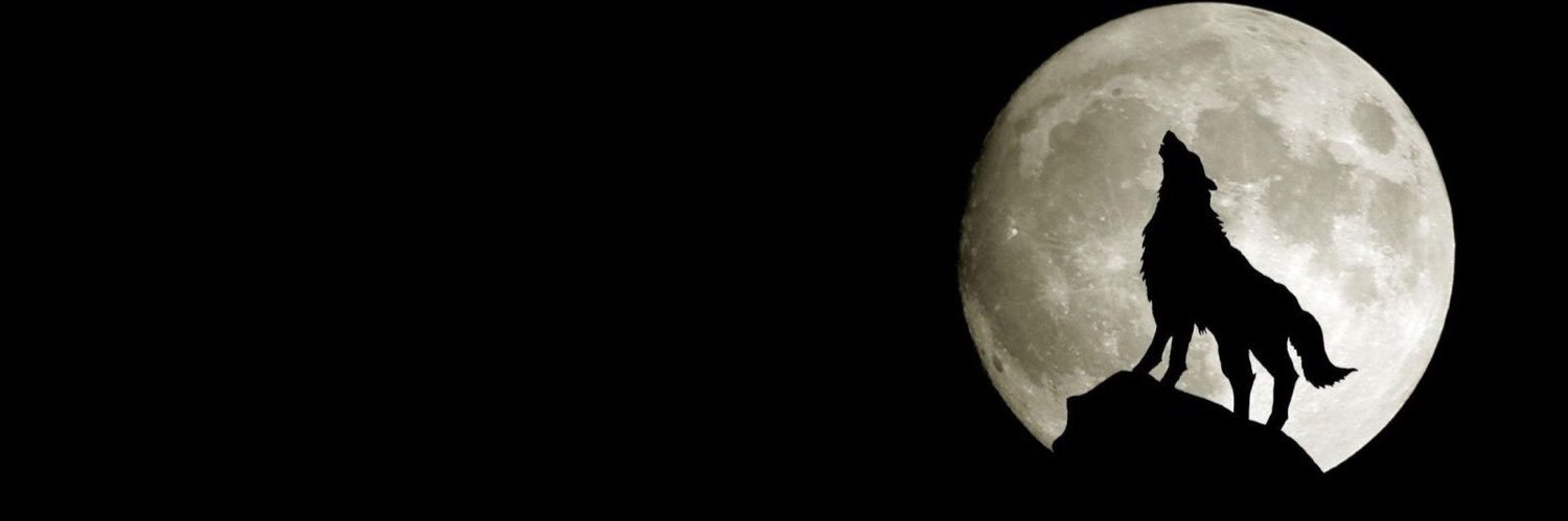Daniel_RSM's profile banner image