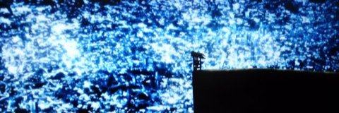 ewjp's profile banner image