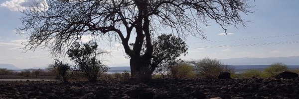 SomeOtherLevel Profile Banner