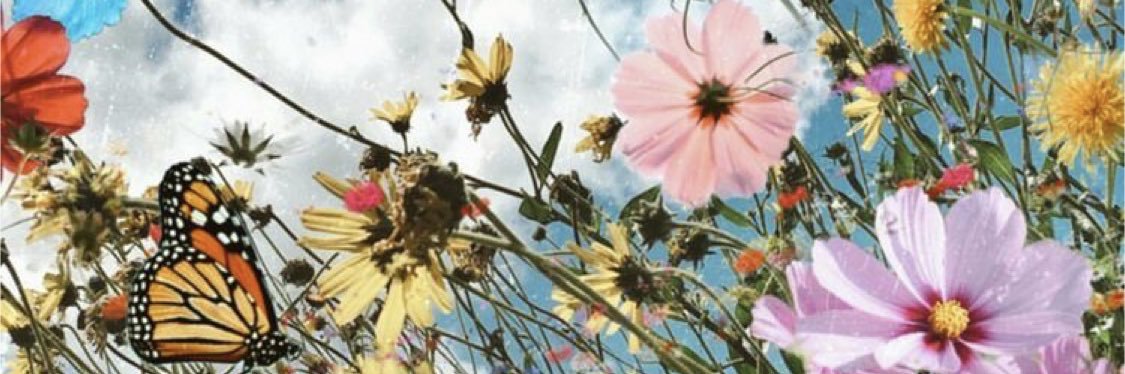 chel_chels66's profile banner image