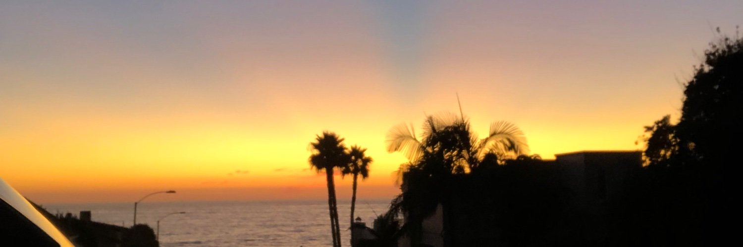 ealiu_'s profile banner image