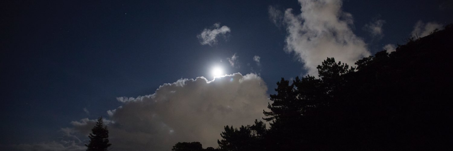 goodsoftwaredev's profile banner image