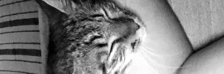 Antho_rmt's profile banner image