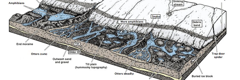 very dark green banner