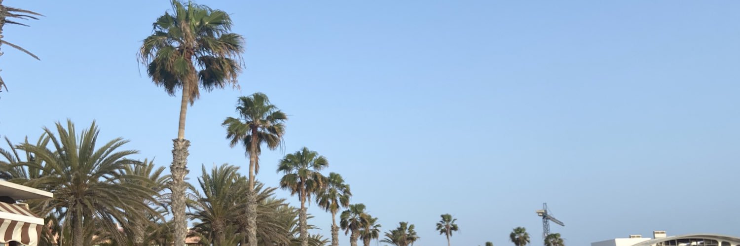 Lightofjupiter's profile banner image