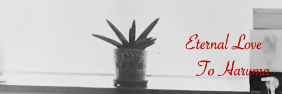 mana5301's profile banner image
