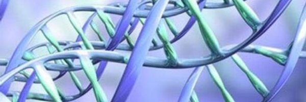 Magicclasses Profile Banner