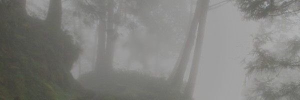 wherermypoppers's profile banner image
