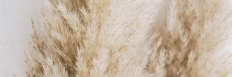 cerysbowmer's profile banner image