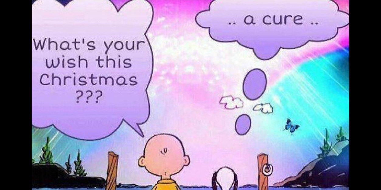 LifeWithPots's profile banner image