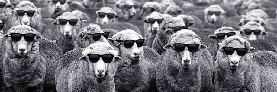 LambWandering's profile banner image