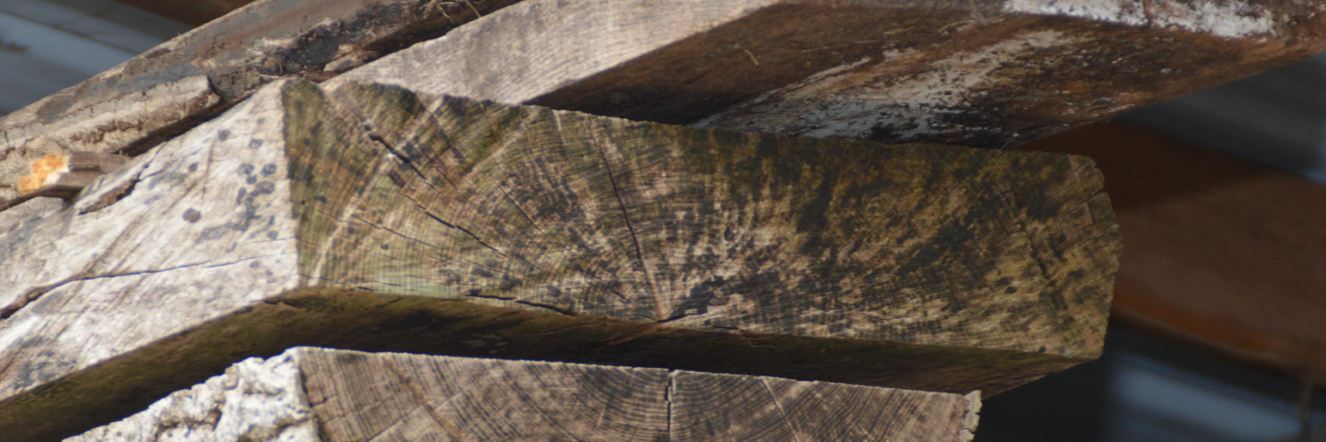 jerrystone7's profile banner image