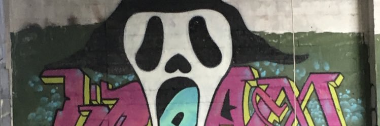 Cam banner