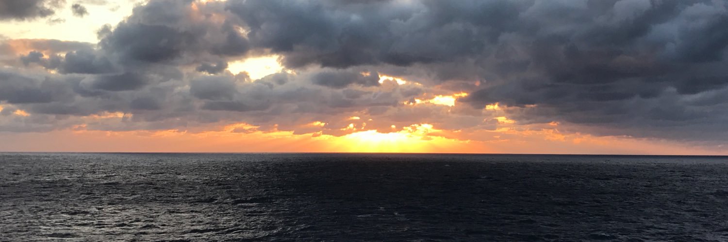 Suzzzzzzzz's profile banner image