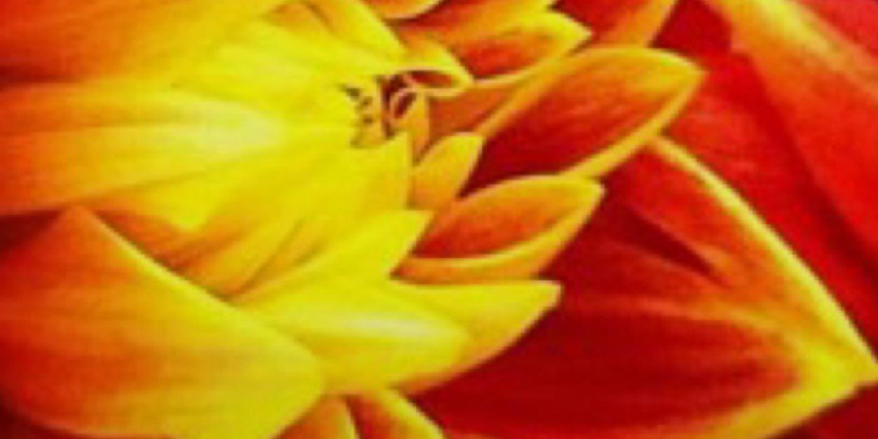macamandamac's profile banner image