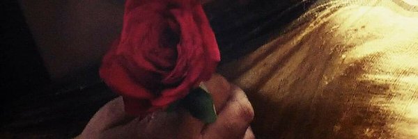 niveditashakeel Profile Banner