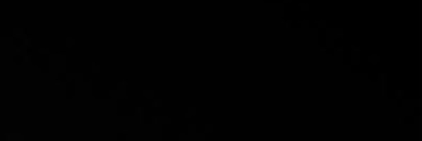 林 banner