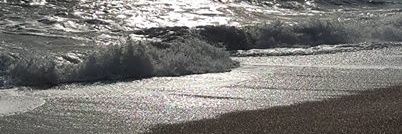 struthbradshaw's profile banner image