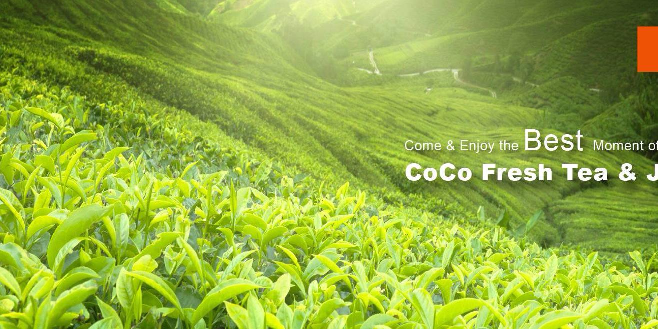 cocotea_sa's profile banner image