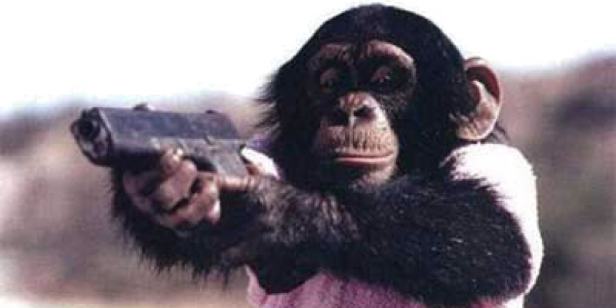 BTmonkey's profile banner image