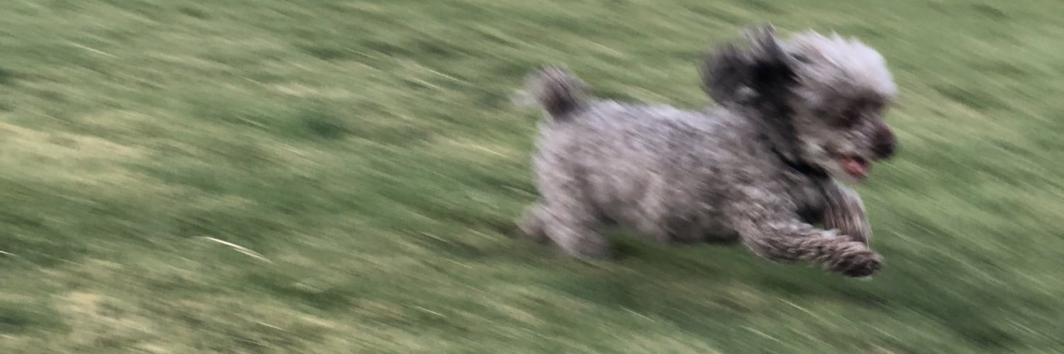 journlinn's profile banner image
