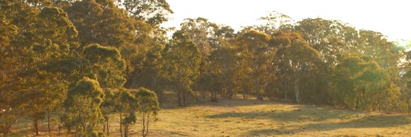 thomaswoldhuis Profile Banner