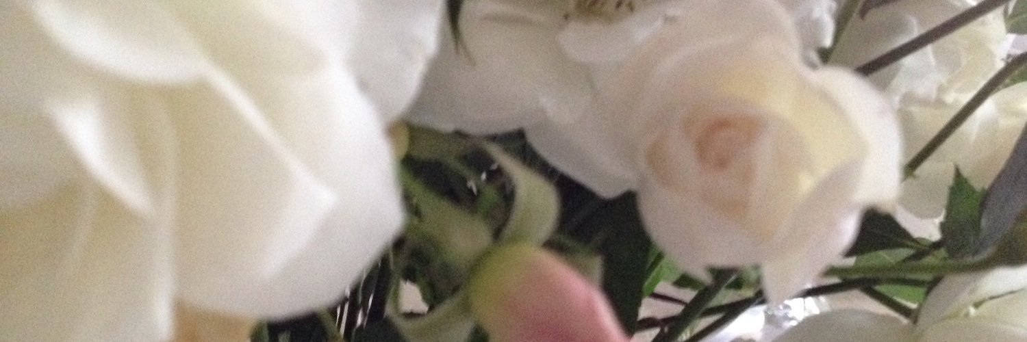 LeppnenU's profile banner image