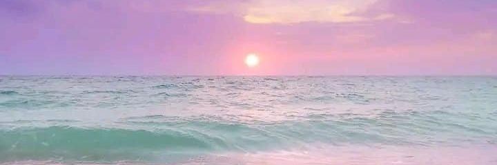 whtrabbitchvser's profile banner image
