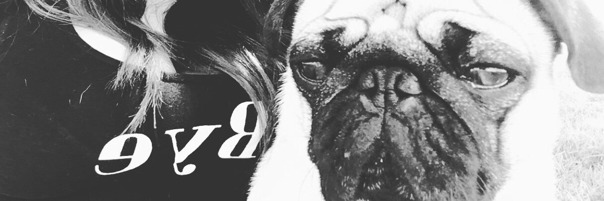 anny_tinoco's profile banner image
