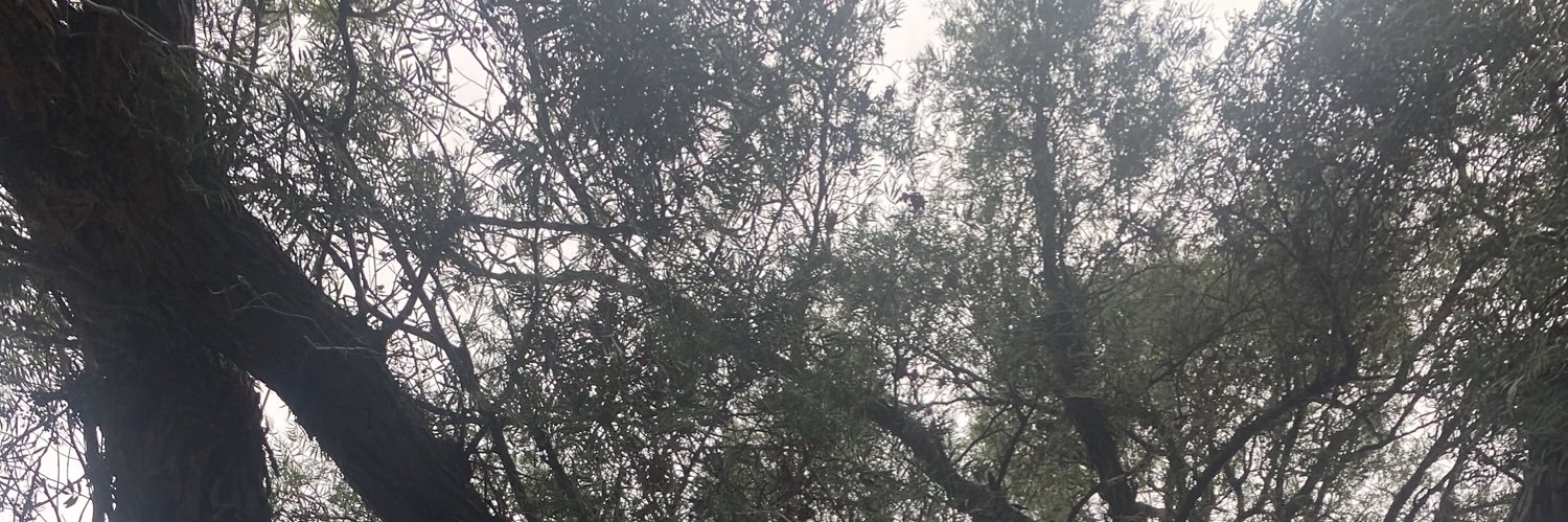 s_af_e's profile banner image
