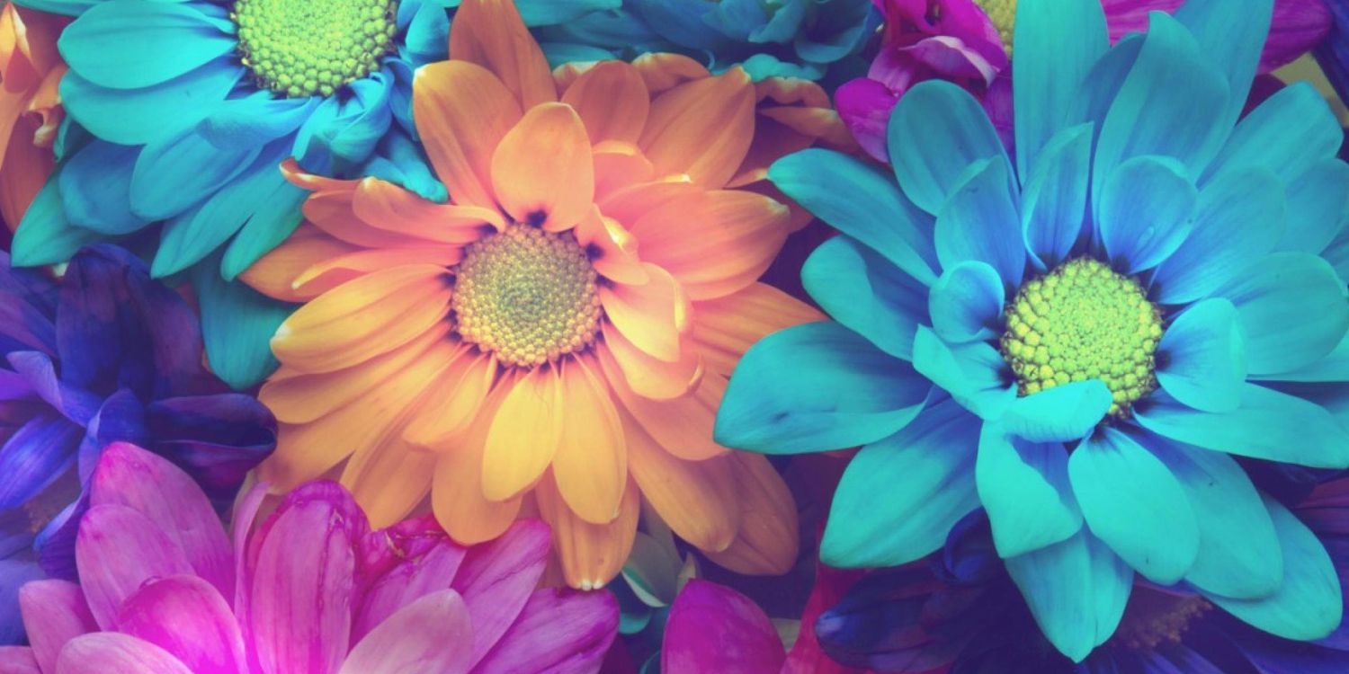 _ElenaSh98's profile banner image
