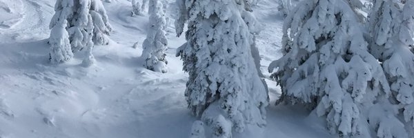 davidcrow Profile Banner