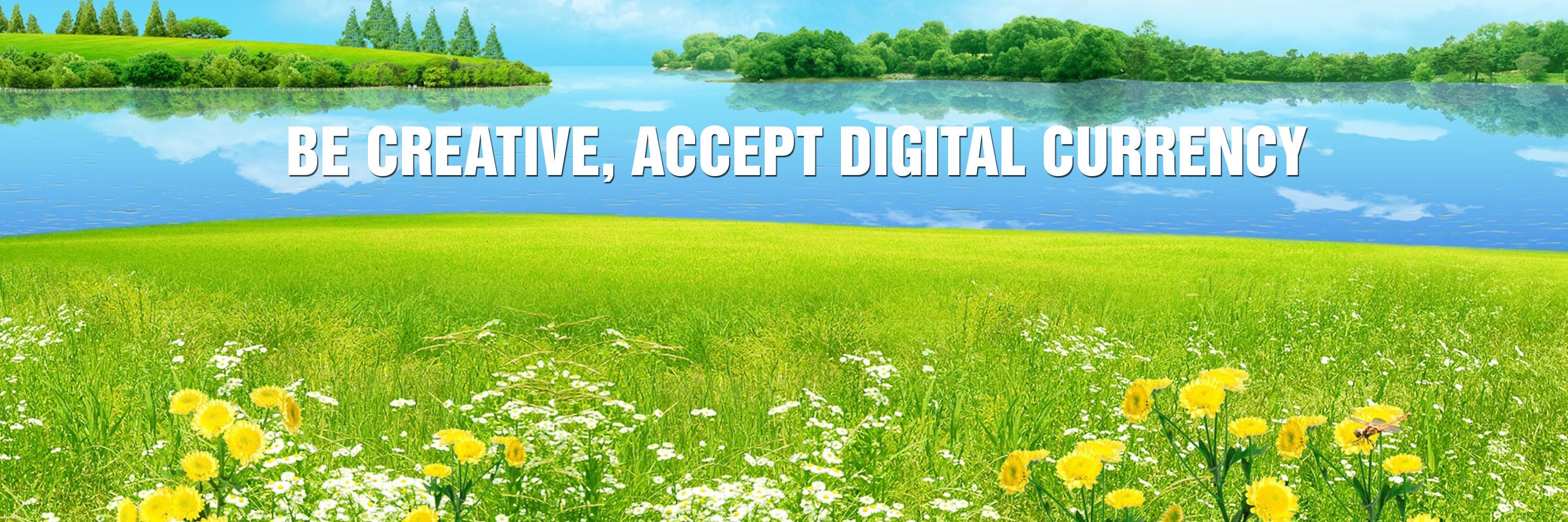 LitePaid.com banner
