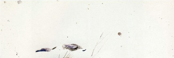 seeleseele1's profile banner image