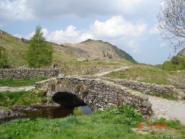 David Williams banner