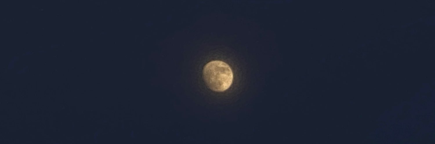 Frddgzmn's profile banner image
