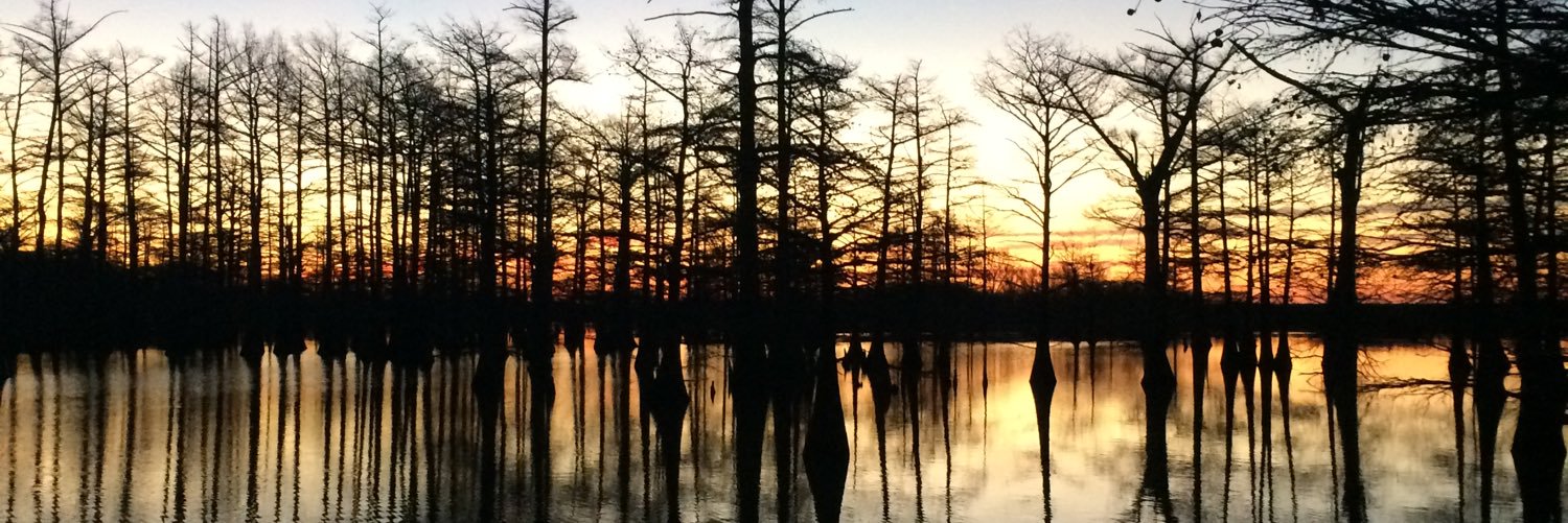 greenhead2010's profile banner image