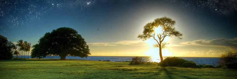 WisdomWealth_'s profile banner image