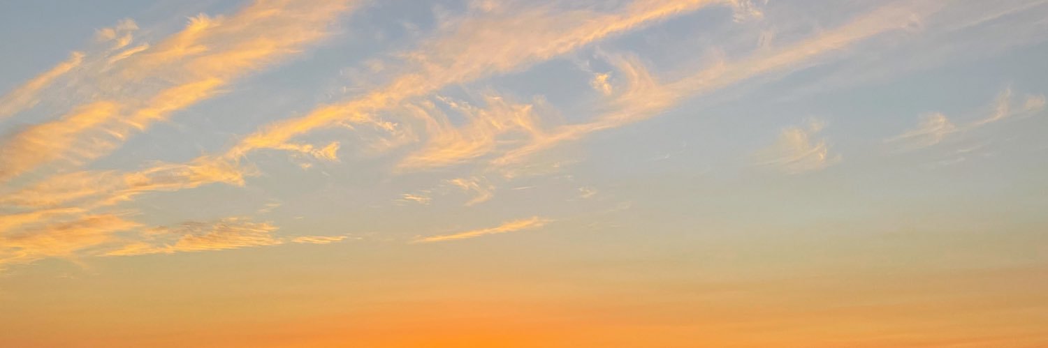 SilviaFerMu's profile banner image