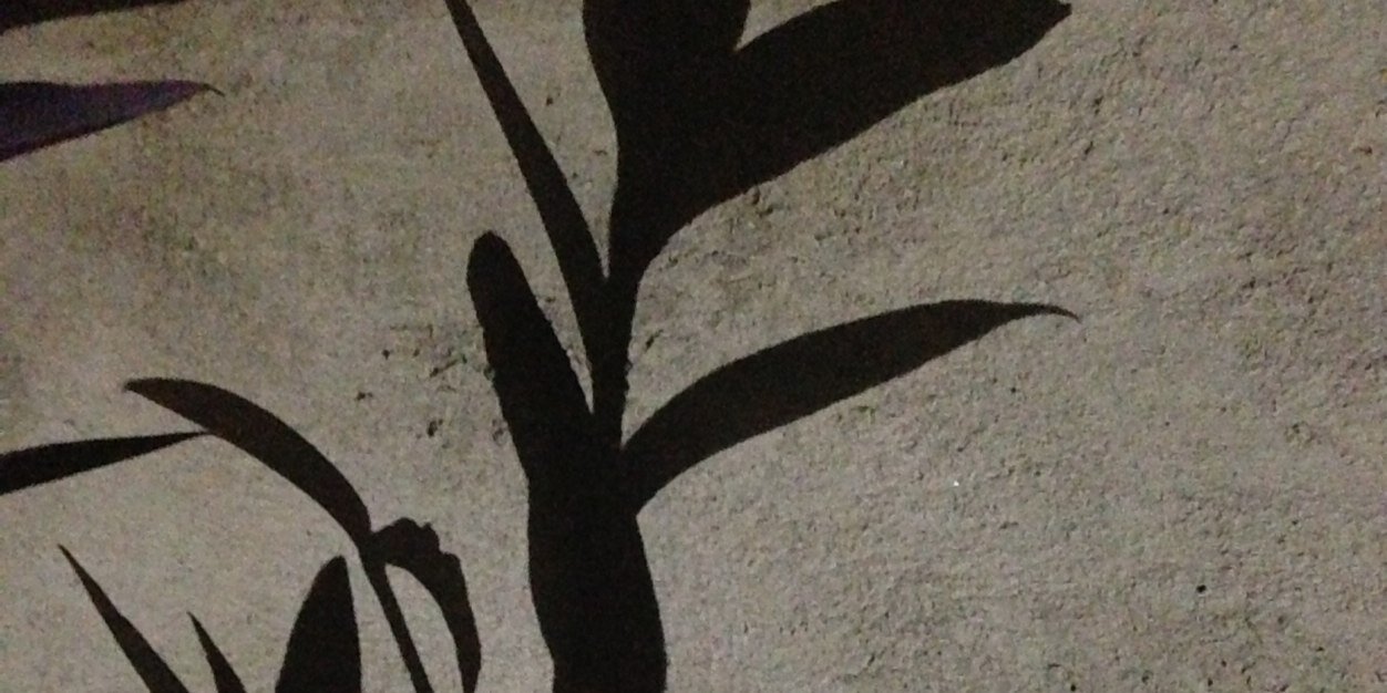 Norazfx's profile banner image