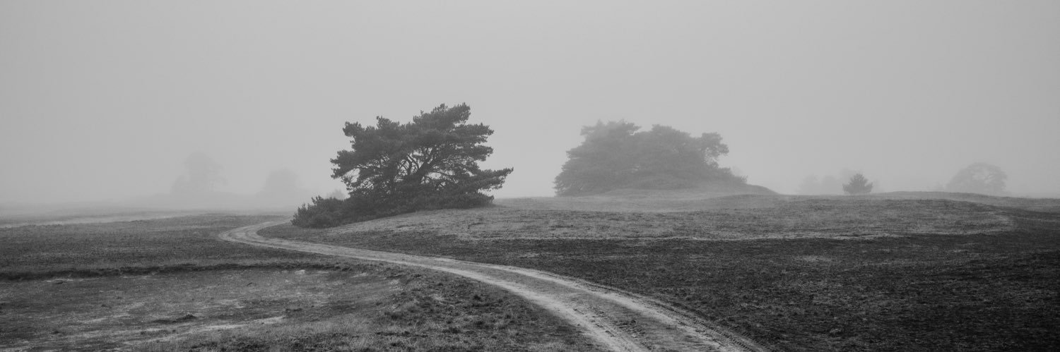 mitchellens.ink banner