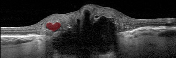 HamannSteffen Profile Banner