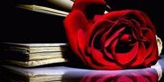 SoohMohamed's profile banner image