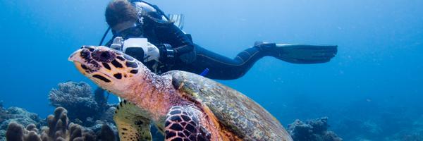 SammSherman27 Profile Banner