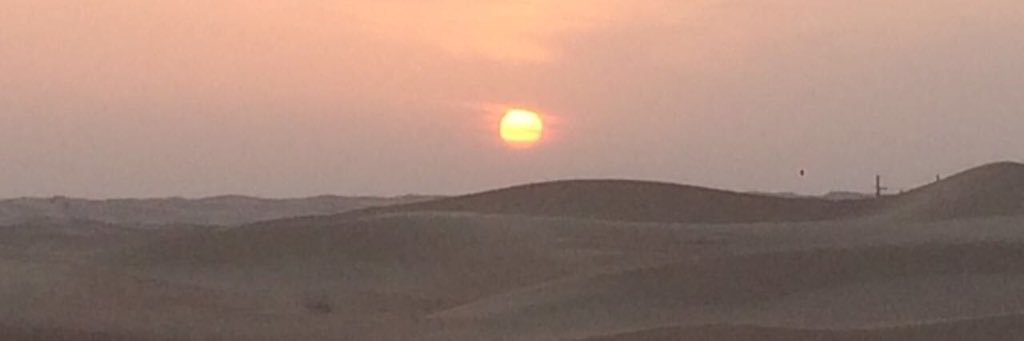 Maria Krotsiani banner