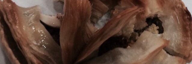 IsaIsalop1's profile banner image