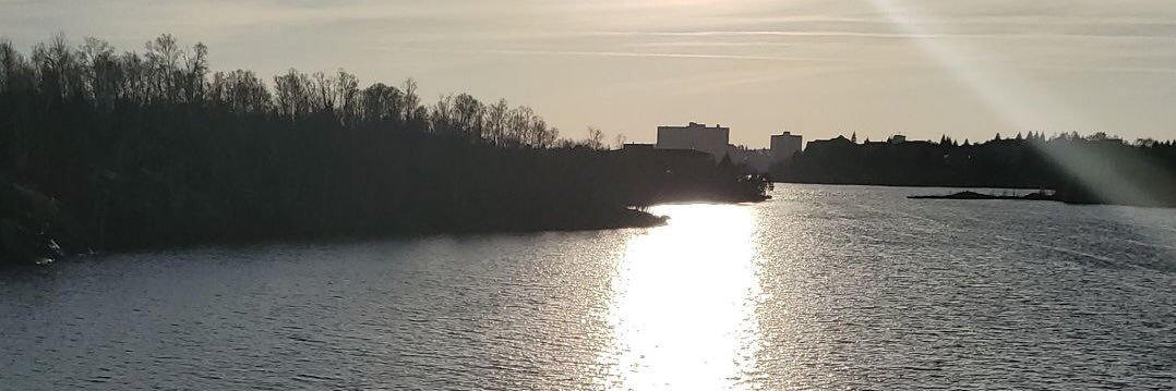 LoloRenn's profile banner image
