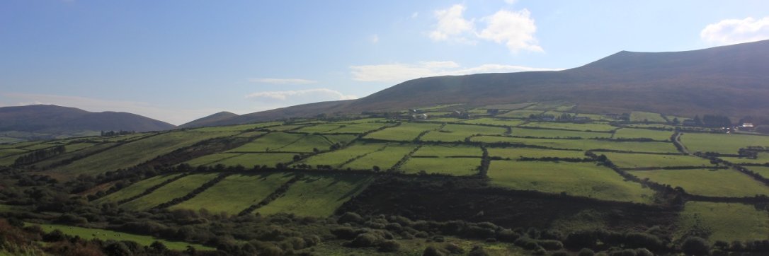 Jonathan Craft banner