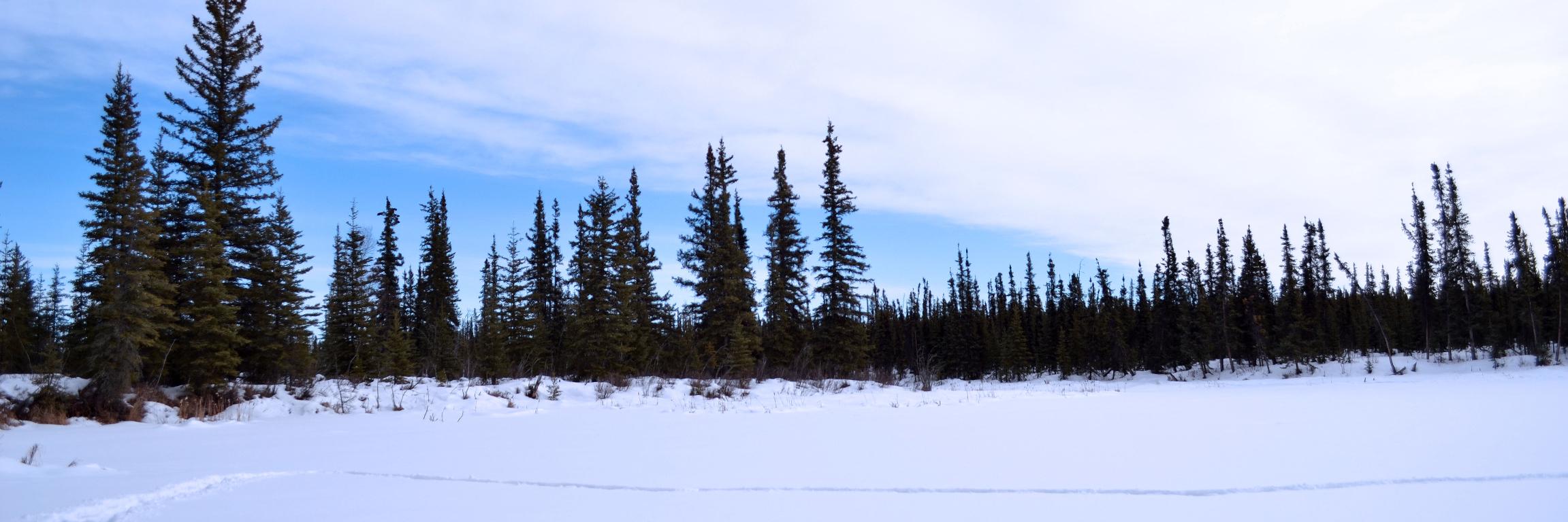PLUSsoton's profile banner image