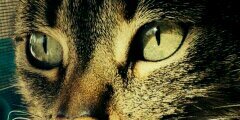 JennyArenas777's profile banner image